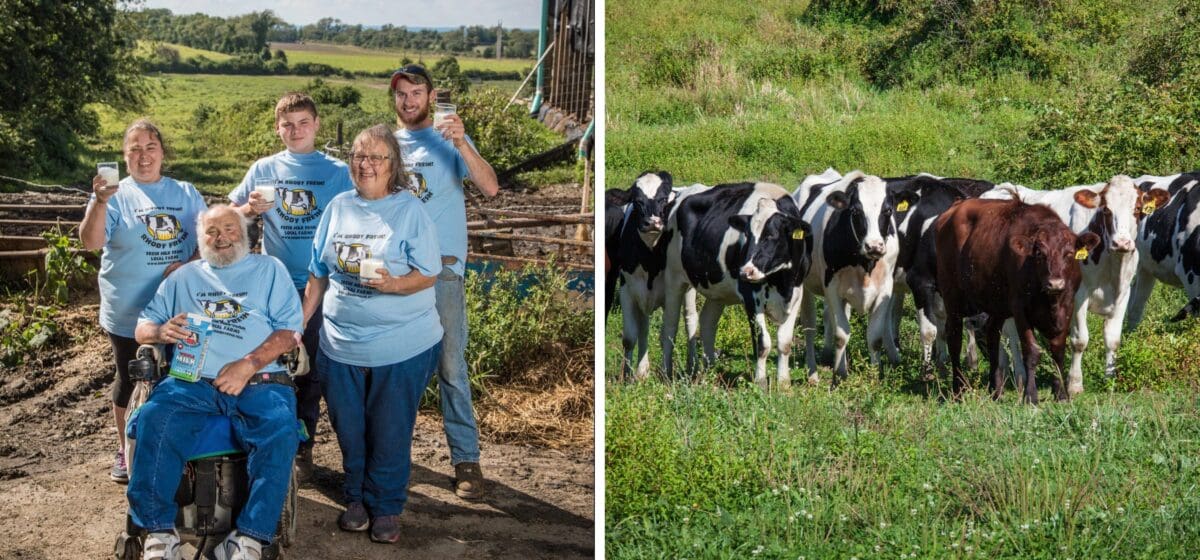 escobar family with cows