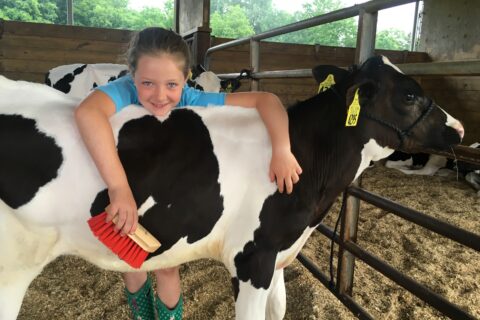 girl posing with a cow