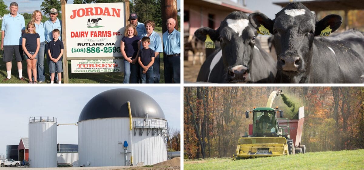 jordan dairy farms photo grid