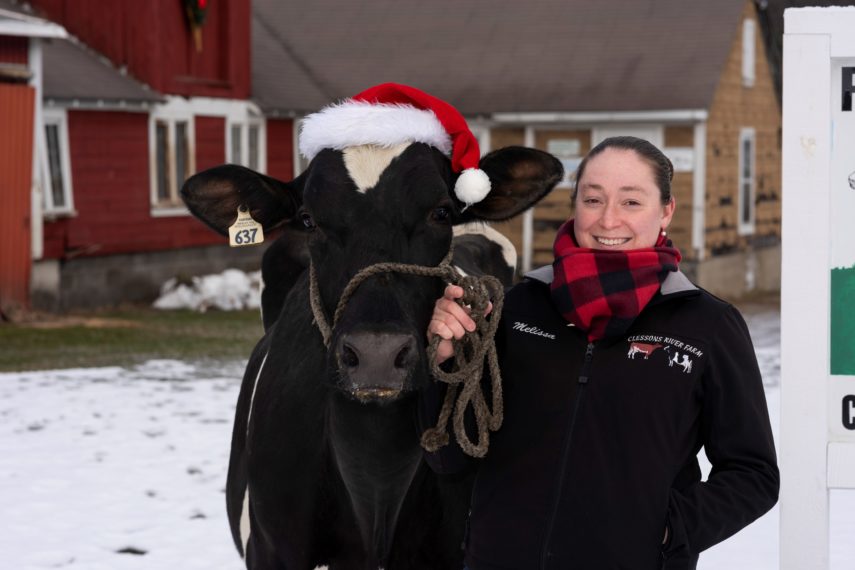 Where Our Milk Comes From: A Conversation with a New England Dairy ...