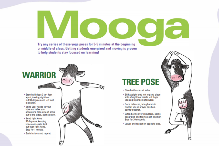 Yoga examples by cow infogeaphic