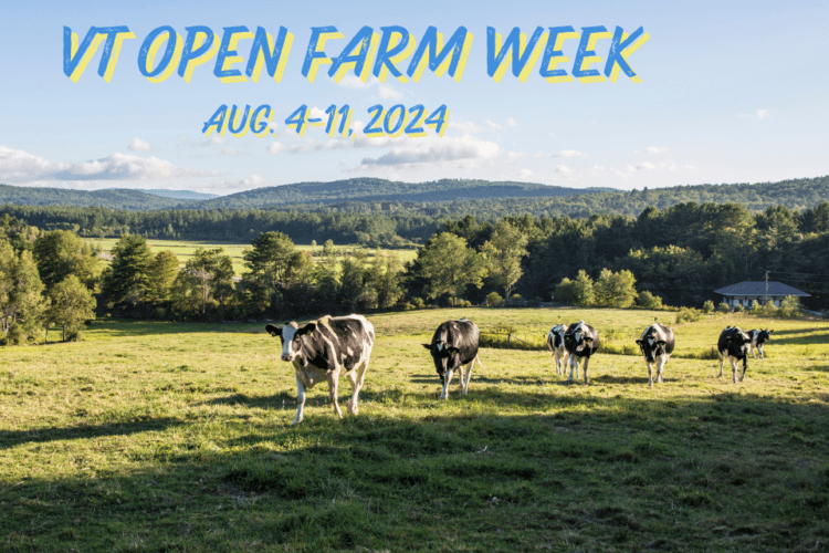 Celebrate VT Open Farm Week with Free Registration! - New England Dairy