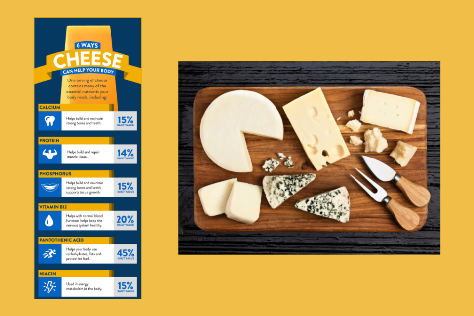 Cheese Nutrition, Common Questions & More | New England Dairy